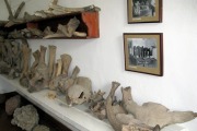 Федоровский геологический музей