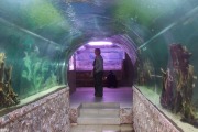 Выставка экзотических рыб (Аквагалерея) - Закрыта