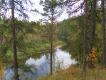 Природный парк «Оленьи ручьи»