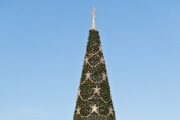 Новогодняя елка - Елка на площади 1905 года. Фотография сделана в январе 2011 года.